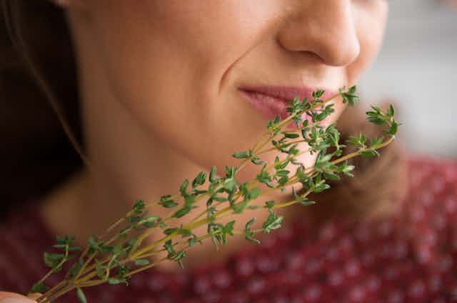 A woman smelling a sprig of thyme.
