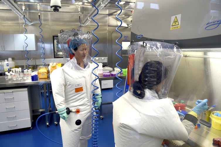 Scientists at work in the Wuhan Institute of Virology