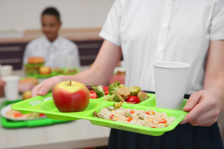 Arms holding tray of food, including apple and salad