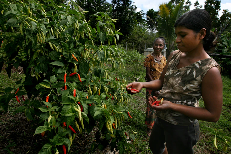 A woman looks at a red chili.