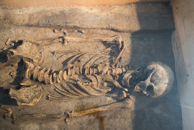 Human skeleton on rocky surface.
