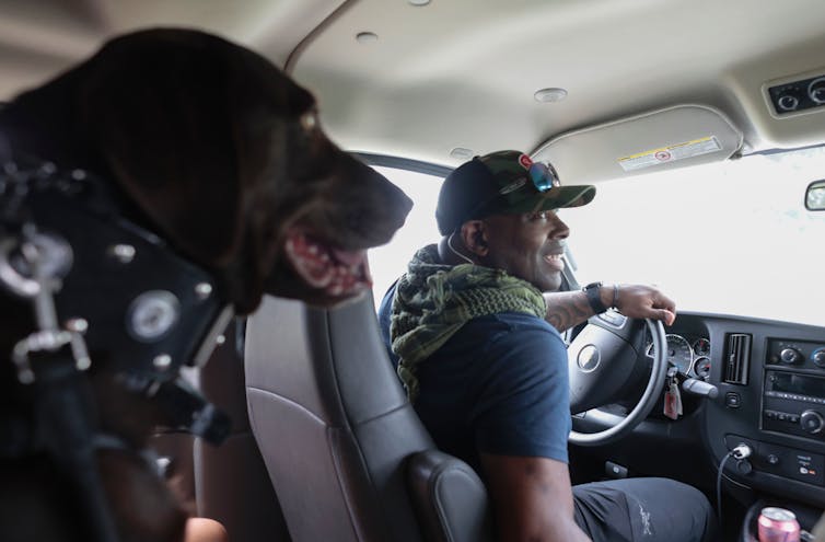 A man driving with a big dog sitting in the back seat.