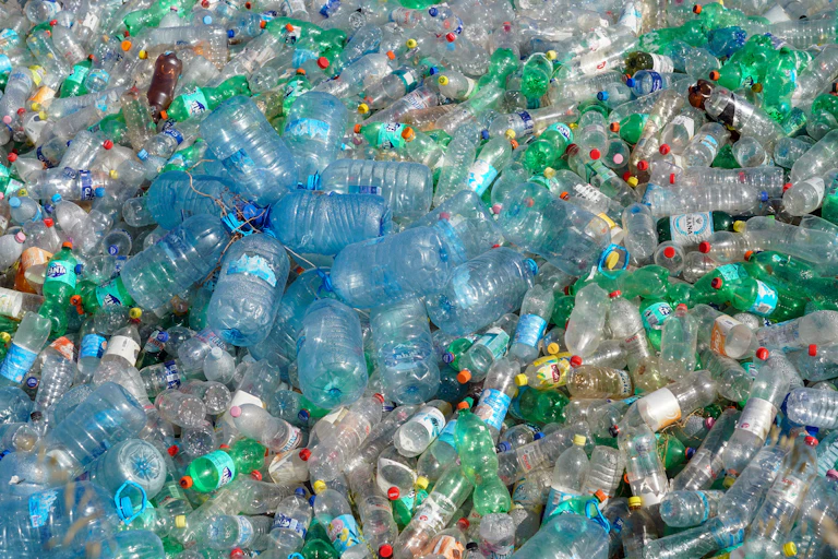 plastic bottles