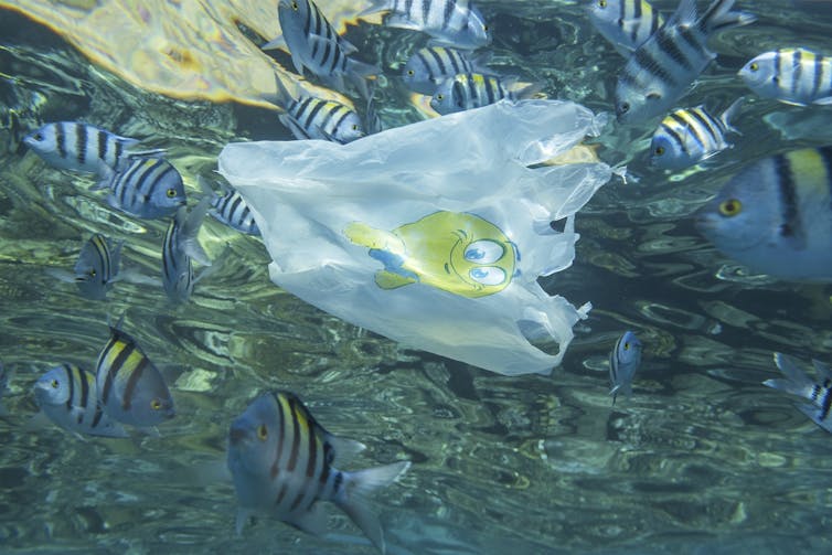 Plastic bag floating in the ocean