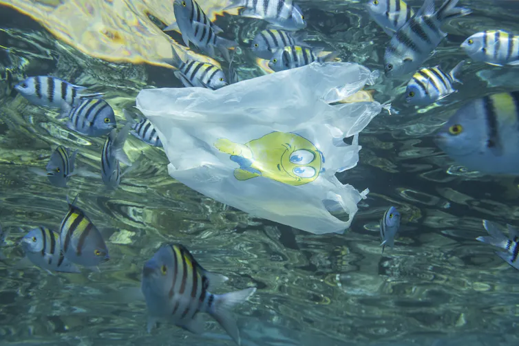 Plastic bag floating in the ocean