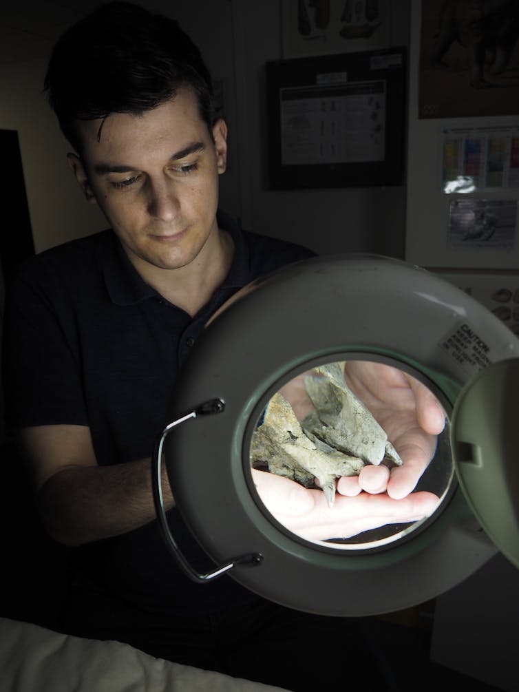 A picture of James Rule holding one of the monk seal fossils.