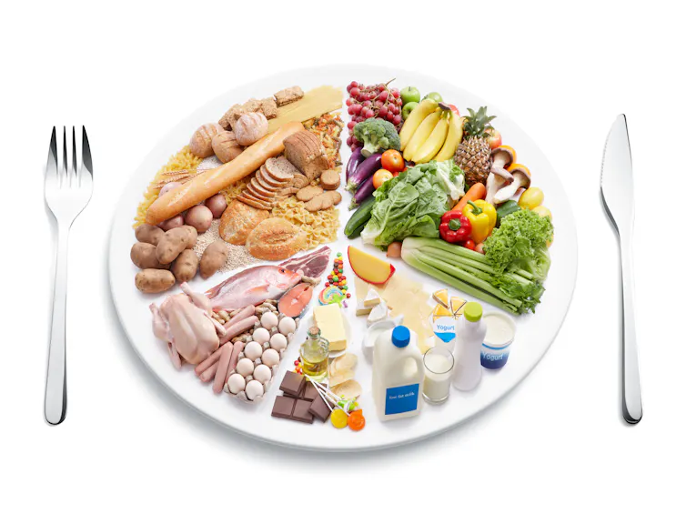 A plate showing the different food groups.