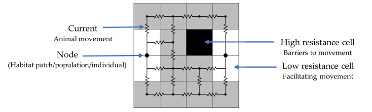 Ejemplo de un plano de una red eléctrica en el que se destacan las áreas de alta y baja resistencia al movimiento.