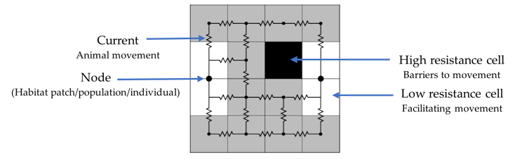 An example grid square map depicting areas of high and low resistance to movement.