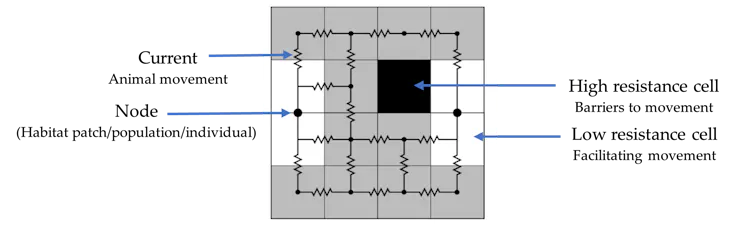 An example grid square map depicting areas of high and low resistance to movement.