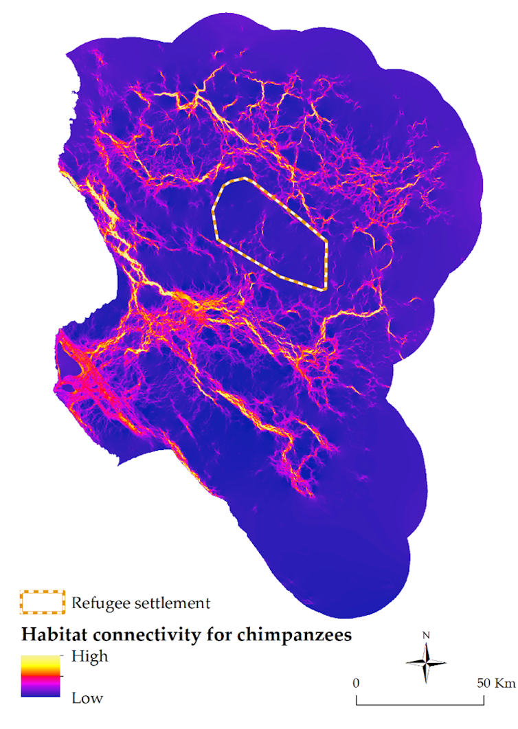 A coloured map depicting areas of high connectivity between chimpanzee habitats in western Tanzania.