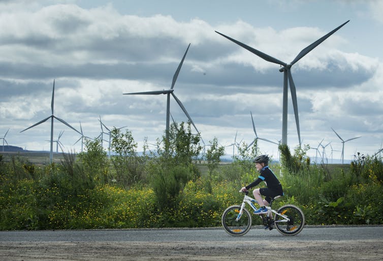 Wind turbines turn on a bright day with a child cycling in the foreground.