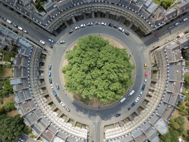 Aerial view of group of trees on roundabout surrounded by cars