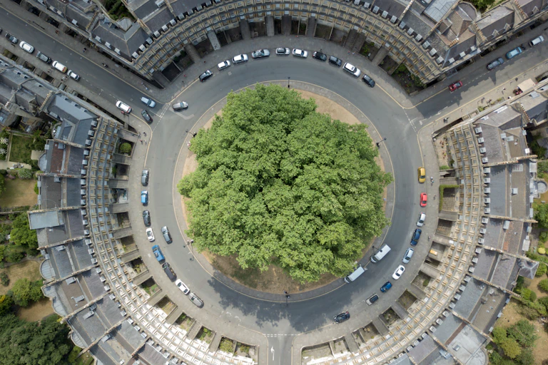 Aerial view of group of trees on roundabout surrounded by cars