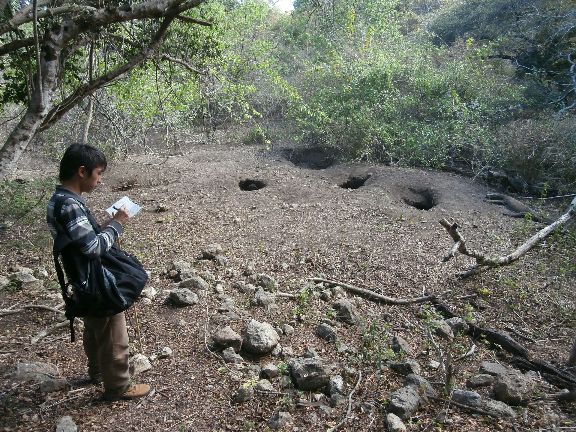 Cek sarang komodo di Loh Buaya, Pulau Rinca, NTT