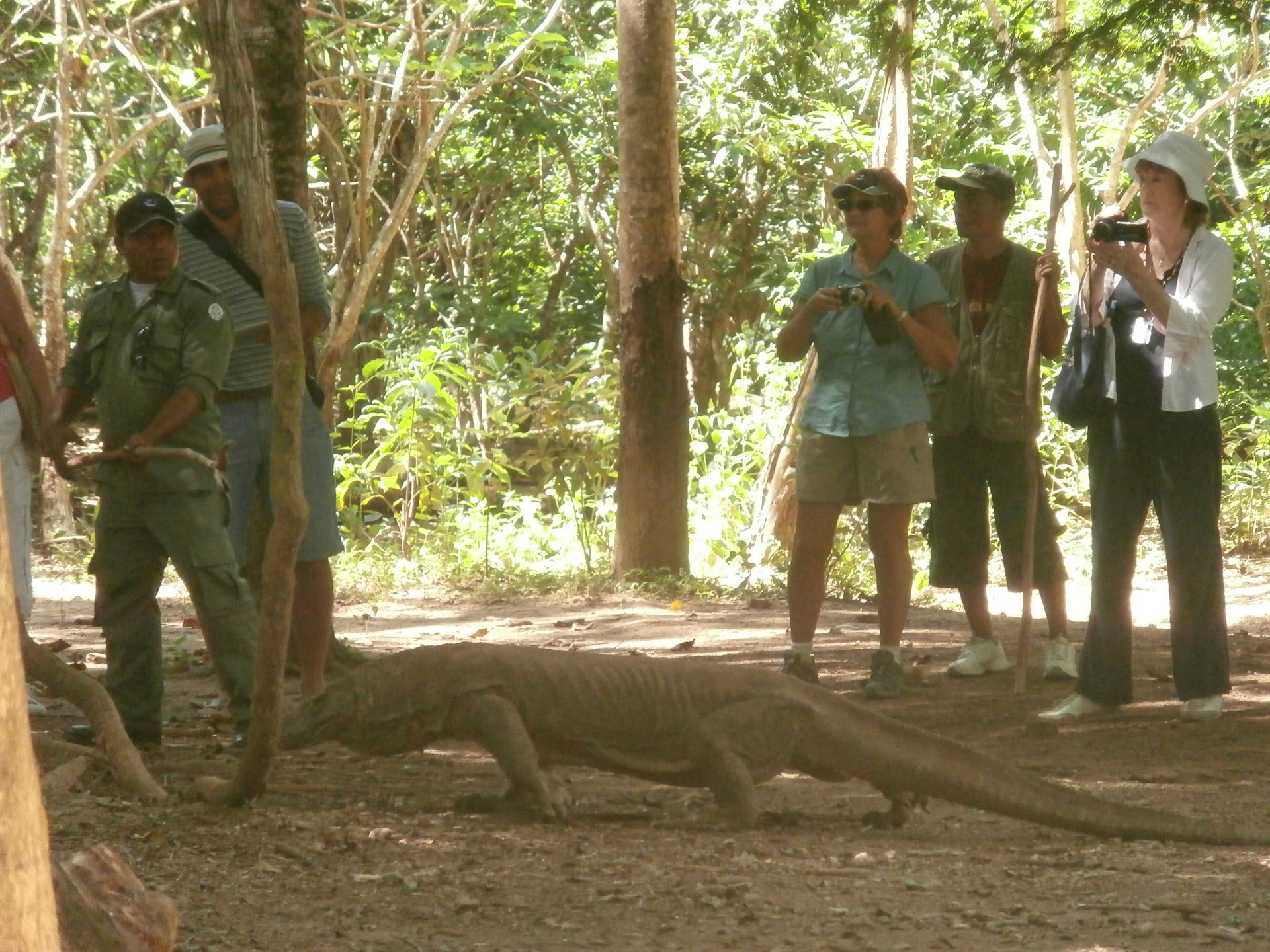 Wisata komodo di Loh Liang, Pulau Komodo, NTT, 2014