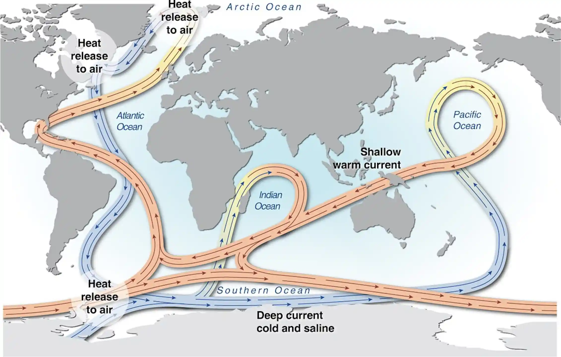 The Atlantic The Driving Force Behind Ocean Circulation And Our Taste the-atlantic-the-driving-force-behind-ocean-circulation-and-our-taste