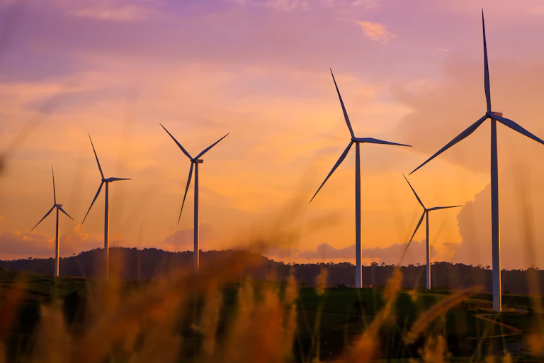 A wind farm at sunset