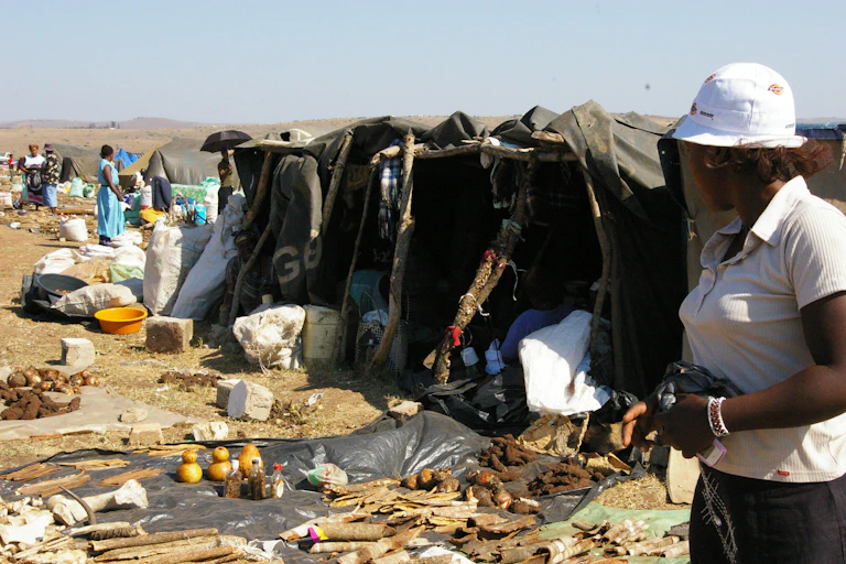 A traditional medicine market in South Africa