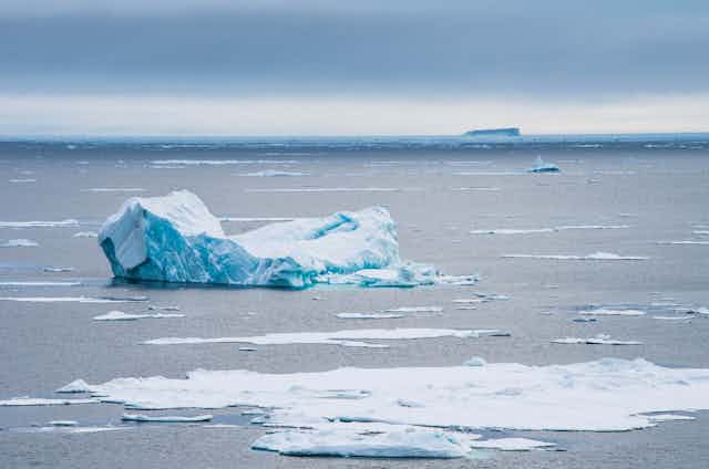 Sea with icebergs