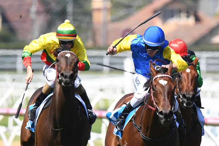 Racehorses and jockeys using their whips