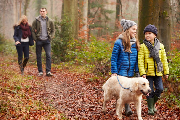 Family walking their dog in the woods during autumn.