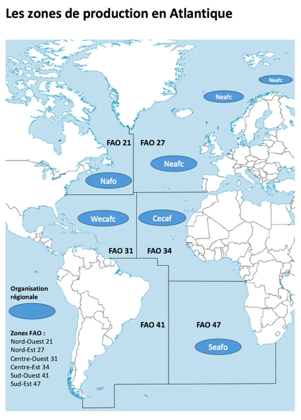 L Atlantique Moteur De La Circulation Oceanique Et Memoire De La Folle Course A La Morue