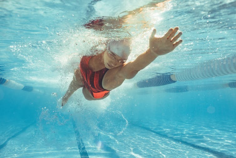A woman swims laps in a pool