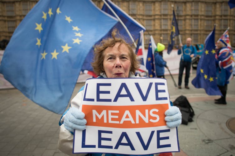 Woman with 'leave means leave' Brexit sign.