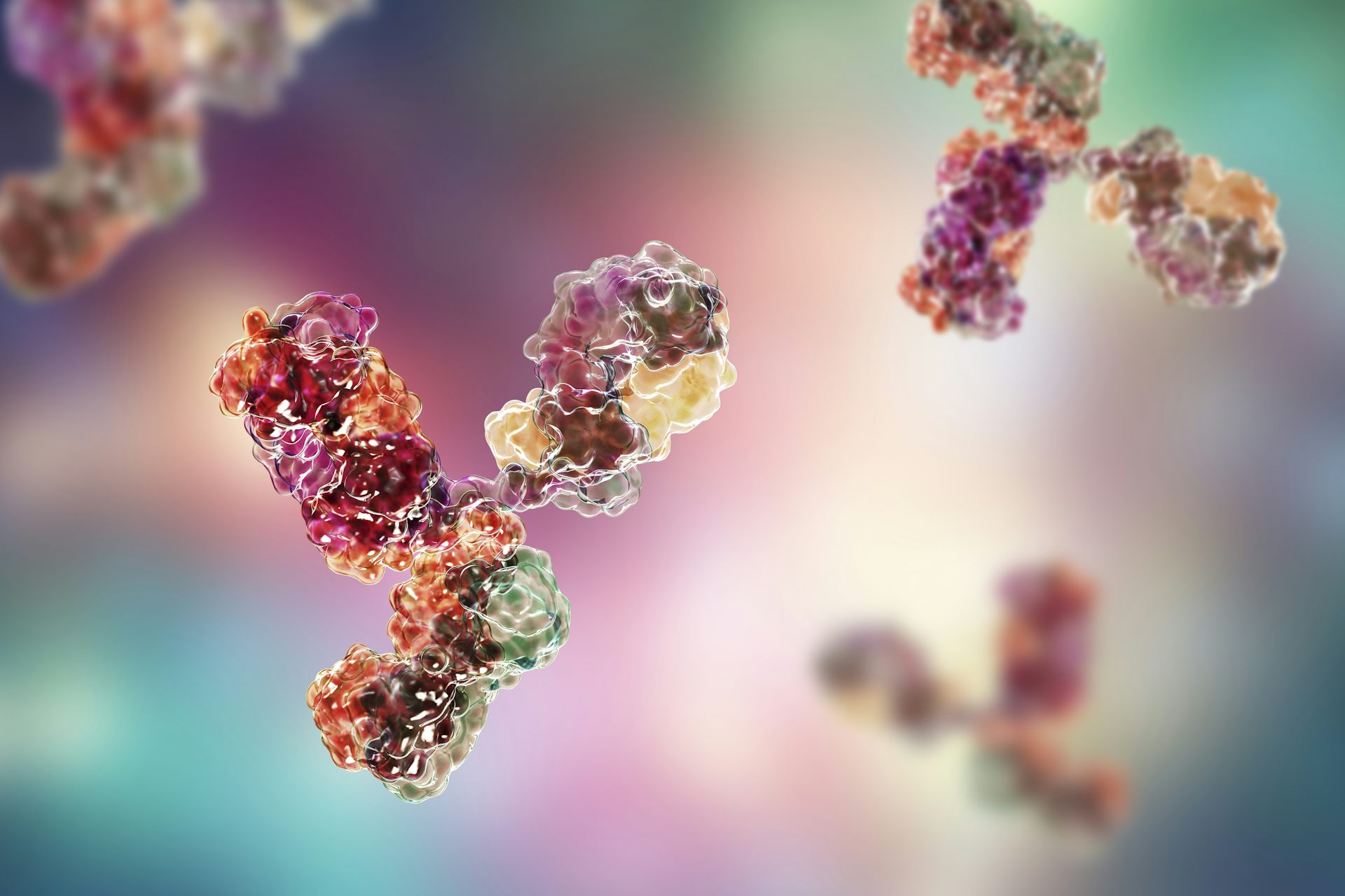 What Monoclonal Antibodies Are – And Why We Need Them As Well As A Vaccine