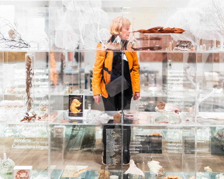 Beauty and audacity: Know My Name presents a new, female story of Australian art