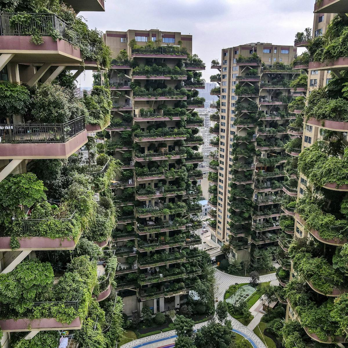 Green architecture