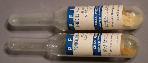 Que la compañía farmacéutica estadounidense Pfizer vaya a producir hasta 1 300 millones de dosis de su vacuna contra la covid-19 en 2021 es un alarde tecnológico, pero no es el primero. En una carrera frenética que tuvo lugar durante la Segunda Guerra Mundial, la empresa pudo fabricar toda la penicilina que necesitaban los aliados.