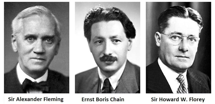 Que la compañía farmacéutica estadounidense Pfizer vaya a producir hasta 1 300 millones de dosis de su vacuna contra la covid-19 en 2021 es un alarde tecnológico, pero no es el primero. En una carrera frenética que tuvo lugar durante la Segunda Guerra Mundial, la empresa pudo fabricar toda la penicilina que necesitaban los aliados.