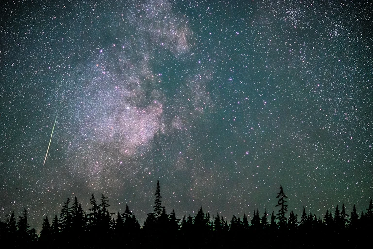 A shooting star above a silhouetted forest