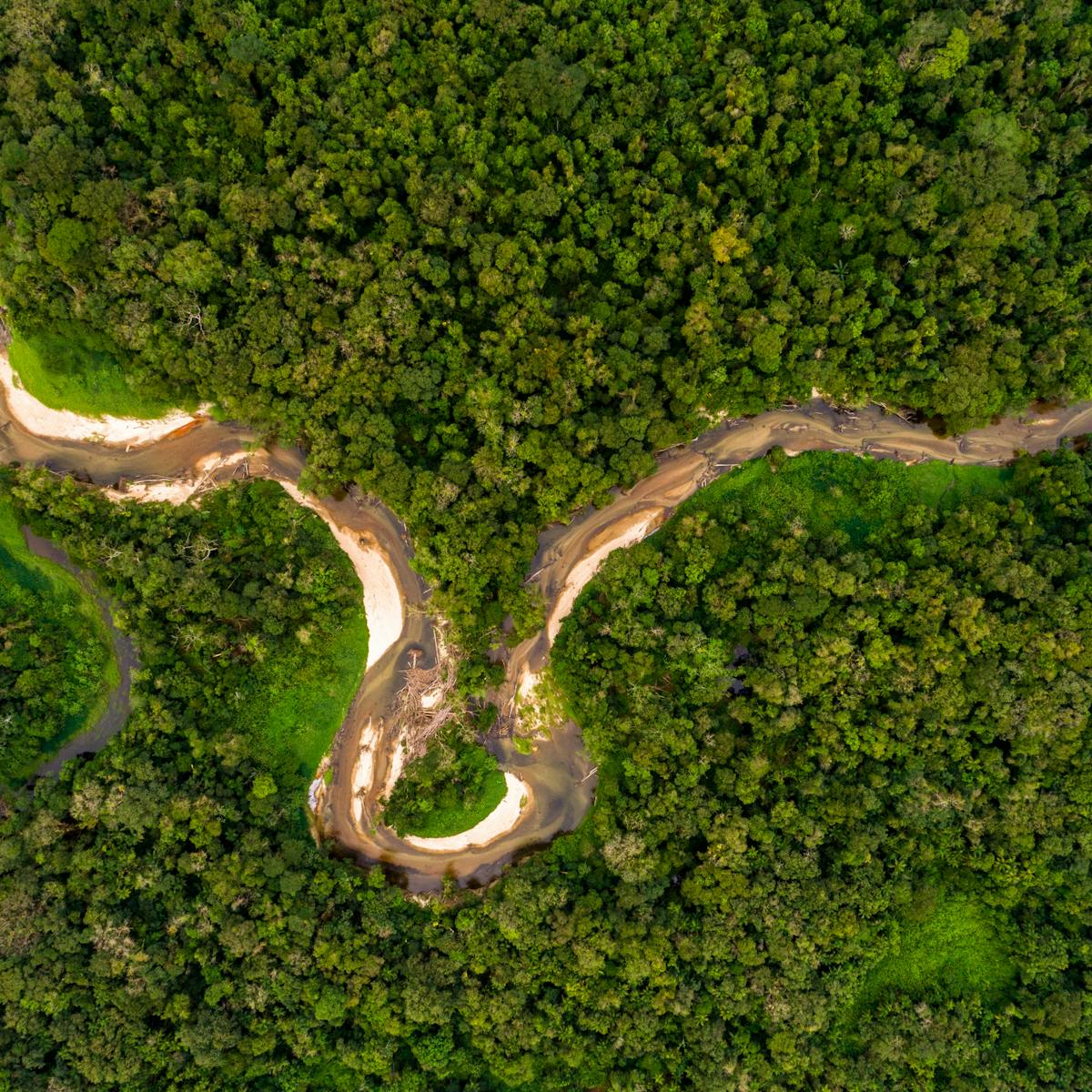 Climate Explained What Would Happen If We Cut Down The Amazon Rainforest