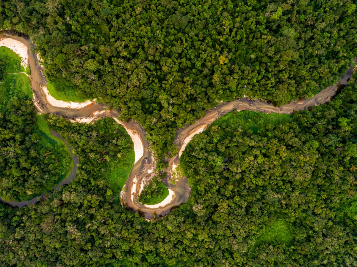 Climate Explained What Would Happen If We Cut Down The Amazon Rainforest