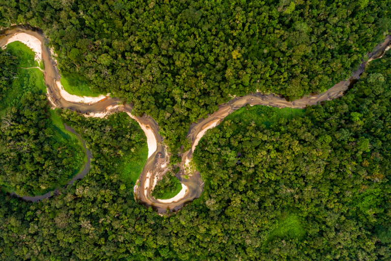 Aerial view of the Amazon rainforest