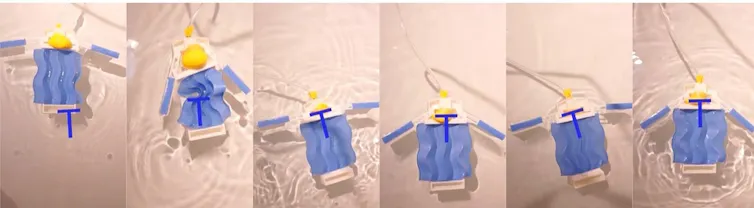 A series of six photos of a blue plastic square with pleated folds floating in water