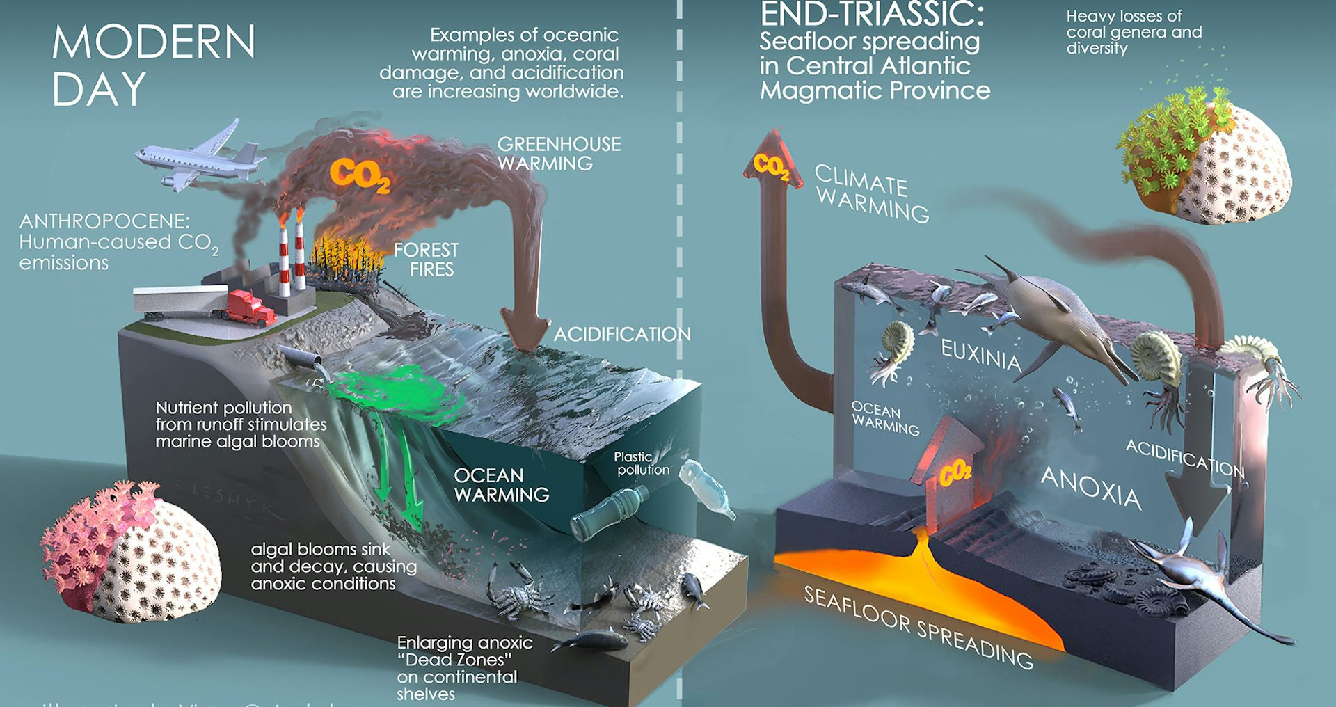 How Chemical Clues From Prehistoric Microbes Rewrote The Story Of One ...