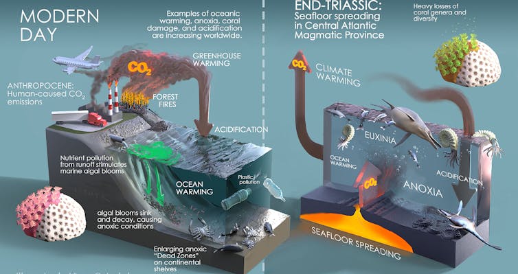 Schematic diagram of environmental changes