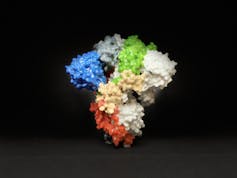 A multicolored, triangular protein with an irregular surface on a black background.