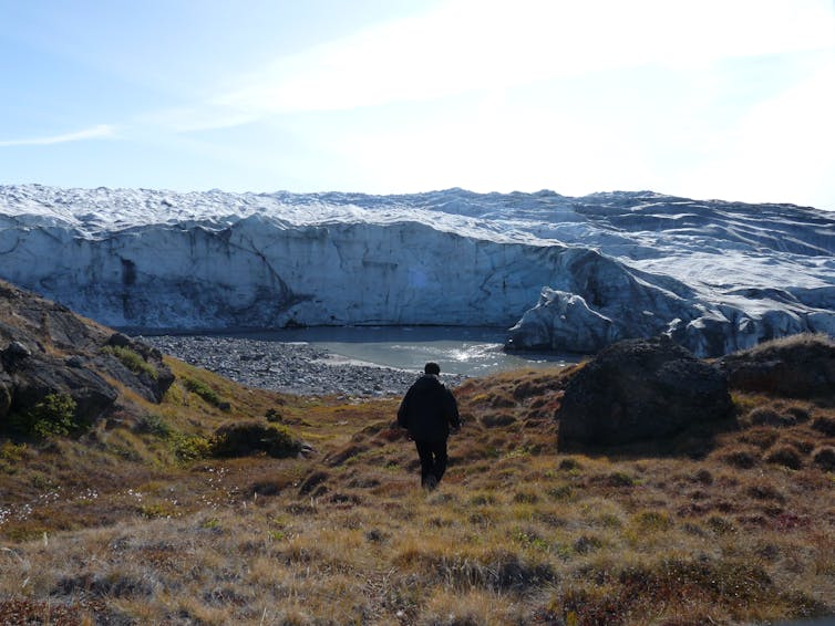 A man walks over grassy land with glacier in background