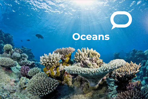 How marine protected areas help safeguard the ocean