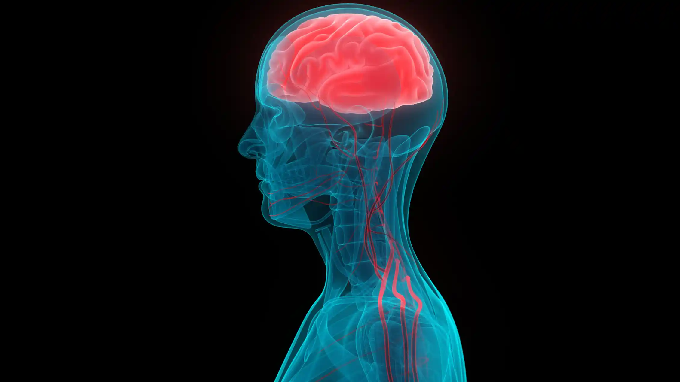 Exercise And The Brain Three Ways Physical Activity Changes Its Very