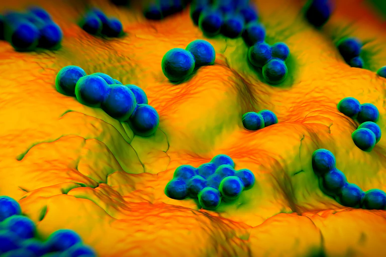 Recreación de superbacterias.