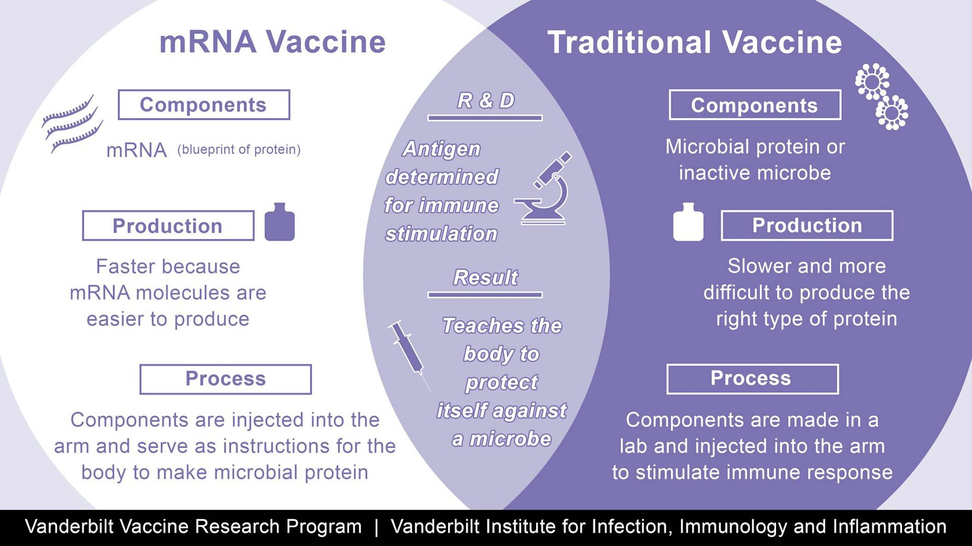 How MRNA Vaccines From Pfizer And Moderna Work, Why They're A ...