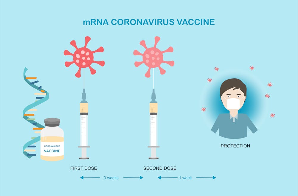 How mRNA vaccines from Pfizer and Moderna work, why they're a breakthrough  and why they need to be kept so cold