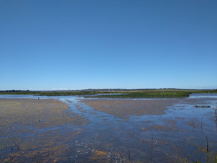 A lagoon beneath a blue sky