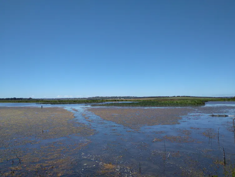 A lagoon beneath a blue sky